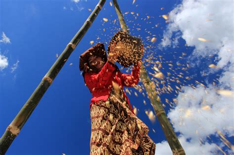Simak gambar keputihan mana yang normal dan mana yang tidak normal agar para wanita tidak selalu panik bila mengalami keputihan. Macam dan Jenis Angle, Shot dan Gerakan Kamera (Camera ...
