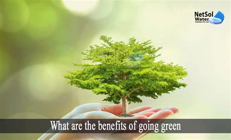 What Are The Benefits Of Going Green Netsol Water