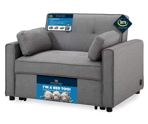 Serta Cambridge Twin Convertible Sleeper Sofa Big Lots Twin Sleeper