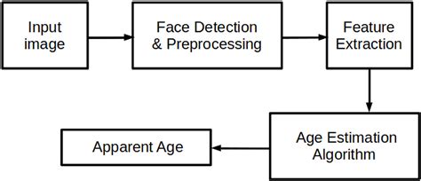 Frontiers Apparent Age Prediction From Faces A Survey Of Modern