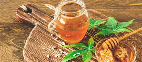 How To Make A Honey Infused Cannabis Tincture At Home Rqs Blog