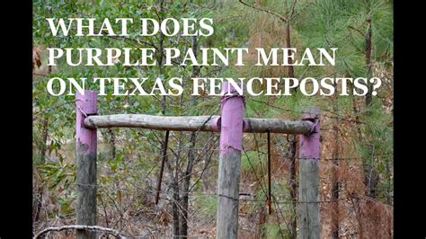 Purple combines the calm stability of blue and the fierce energy of red. What Does Purple Paint on Texas Fenceposts Mean? - YouTube