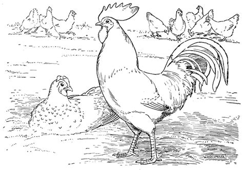 Farm Coloring Pages Preschool Coloring Home