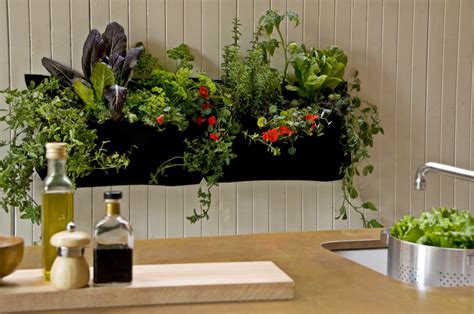 13 Amazing Ideas For Your Indoor Plants Love The Garden