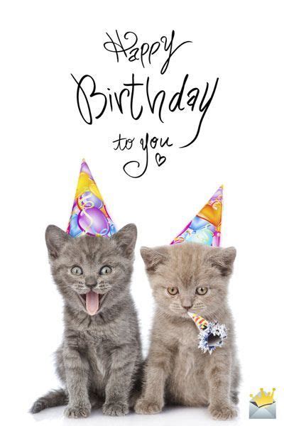 Happy Birthday To You Kittenshappybirthday Happy Birthday Fun Cool