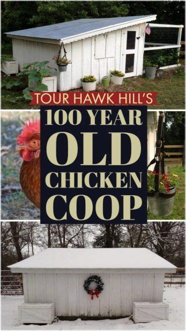 Hawk Hills Restored 1920s Chicken Coop Hawk Hill Chicken Coop