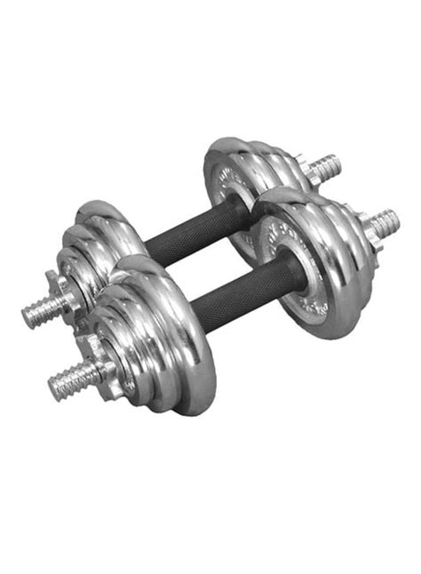 buy generic 2 piece chrome dumbbell set 15kg online shop health and fitness on carrefour saudi