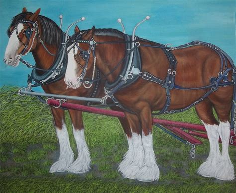 Original Oil Painting Clydesdale Horses Draft Horses Size Etsy