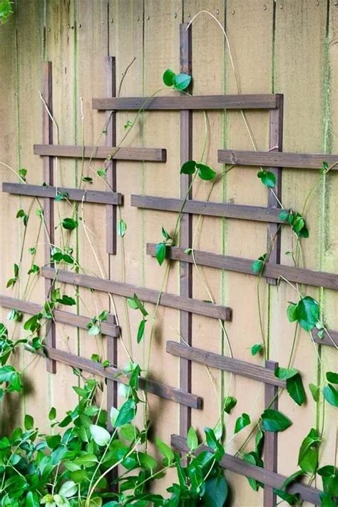 You can design a trellis in any style you like. how to make your own trellis - Yahoo Image Search Results in 2020 | Diy fence, Diy trellis, Diy ...