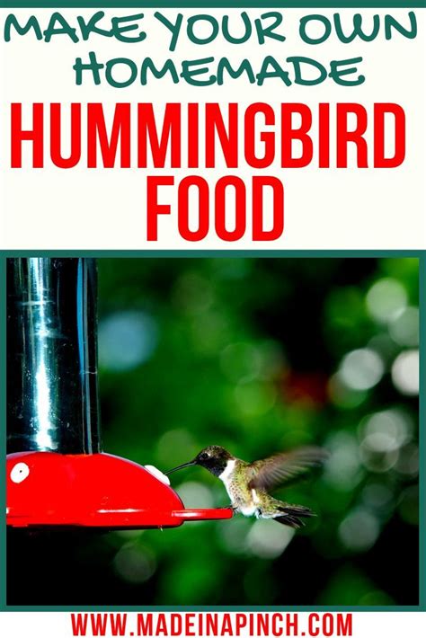 The Easiest Homemade Hummingbird Food Recipe Recipe Hummingbird