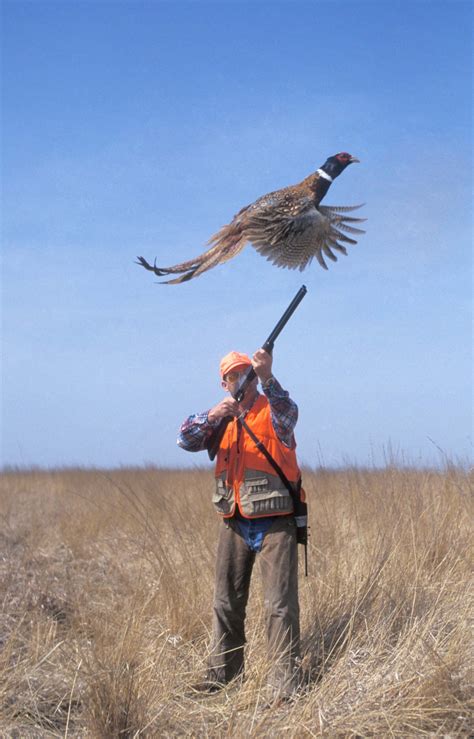 Montana Bird Bugaboos Montana Hunting And Fishing Information