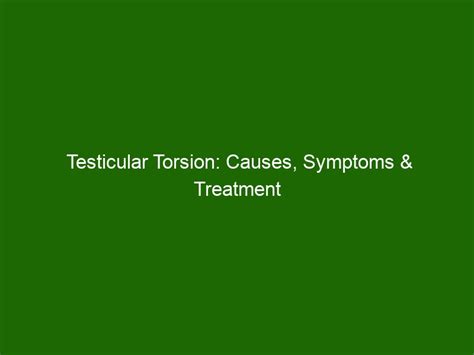 Testicular Torsion Causes Symptoms And Treatment Options Health And Beauty