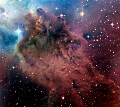 The Fox Fur Nebula Space