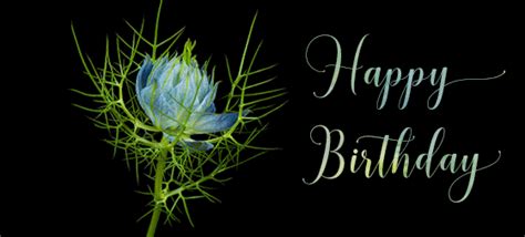 Animated happy birthday to you with flowers gif: Beautiful Flowers Happy Birthday Gif Wishes to Share