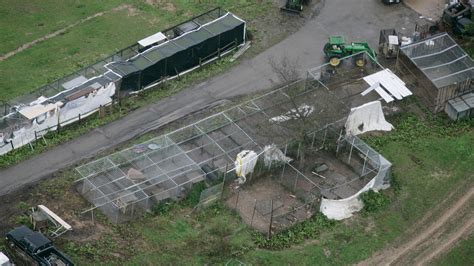 Zanesville animal tragedy captivates, inspires change 10 years later