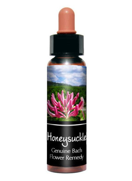 They have regrets but are unable to change present circumstances since they are constantly looking back at the past. Honeysuckle Bach Flower Remedy for bereaved - Creature ...