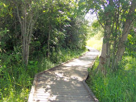 Fairy Lake Newmarket On