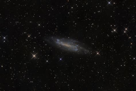 Ngc4236 Spiral Galaxy Astrodoc Astrophotography By Ron Brecher