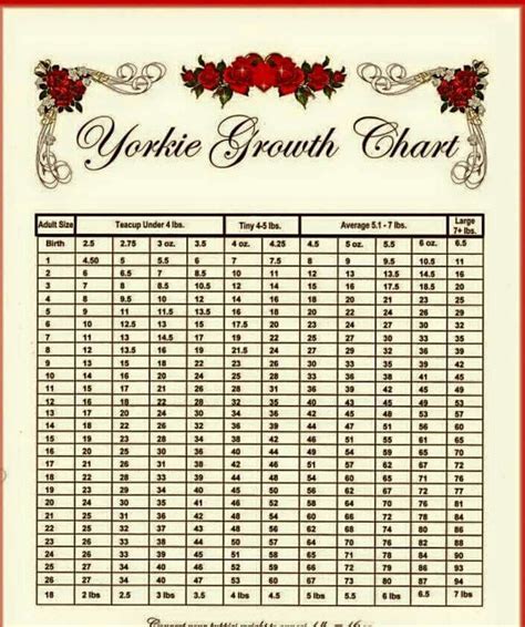 Yorkie Terrier Weight Chart