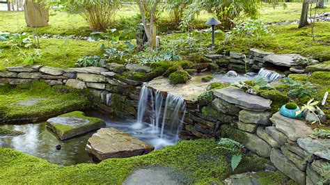 How To Make A Moss Rock Garden Garden Design Ideas