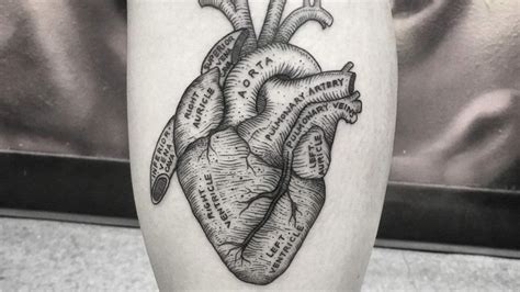 101 Best Anatomical Heart Tattoo Ideas That Will Blow Your Mind Outsons