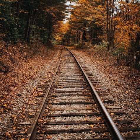Pin By Saas Transportation Inc On Autumn Delights Railroad Tracks