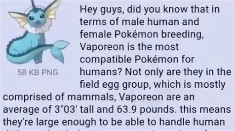 Hey Guys Did You Know That In Terms Of Male Human And Female Pokémon