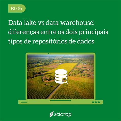Data Lake Vs Data Warehouse Diferen As Entre Os Dois Principais Tipos De Reposit Rios De Dados