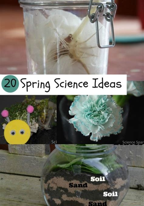 20 Spring Experiments For Kids Science Laptrinhx News