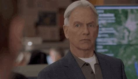 Mark Harmon Gibbs Mother In Law Ncis Gifs Find Share On Giphy