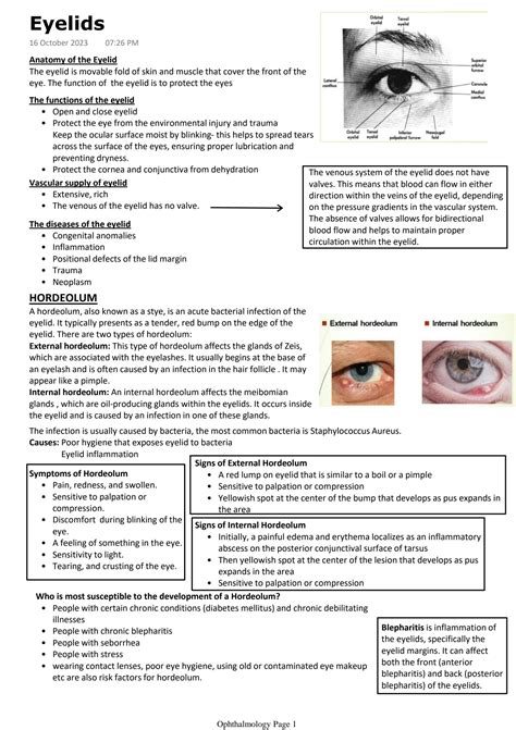 Solution Understanding Eyelid And Eyelash Disorders Studypool