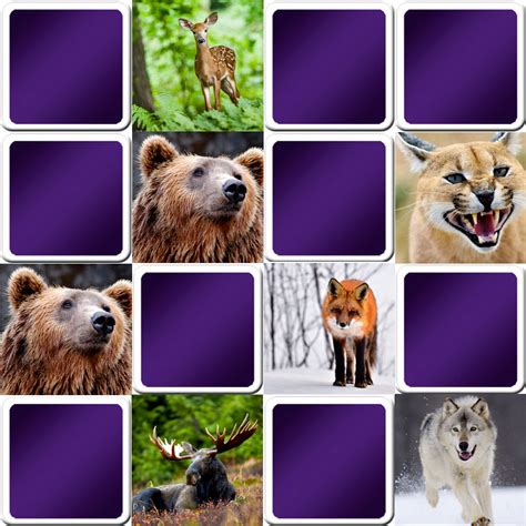 Play Matching Game For Seniors Animals Online And Free Memozor