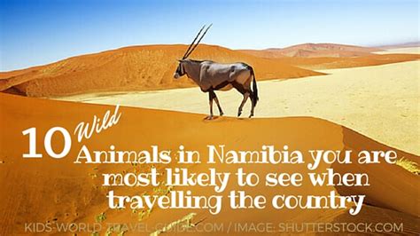 Animals In Namibia Namibian Animals Namibia For Kids