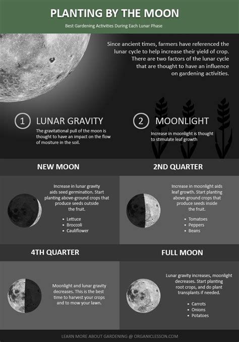 Planting By The Moon The Starters Guide Moon Garden Biodynamic