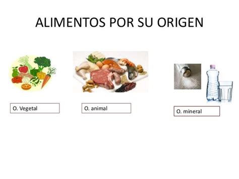 Que Son Los Alimentos De Origen Animal Vegetal Y Mineral Imagui