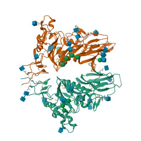 Rcsb Pdb 5n11 Crystal Structure Of Human Beta1 Coronavirus Oc43 Nla