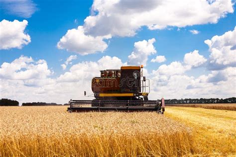 Harvester Machine To Harvest Wheat Field Working Stock Image Image Of