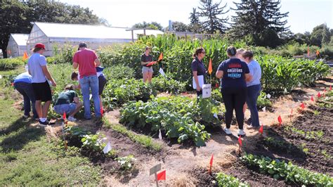 Undergraduate Programs Department Of Agronomy And Horticulture Nebraska