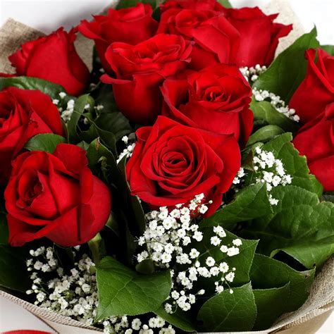 Online Bunch Of Ravishing Red Roses T Delivery In Uae Fnp