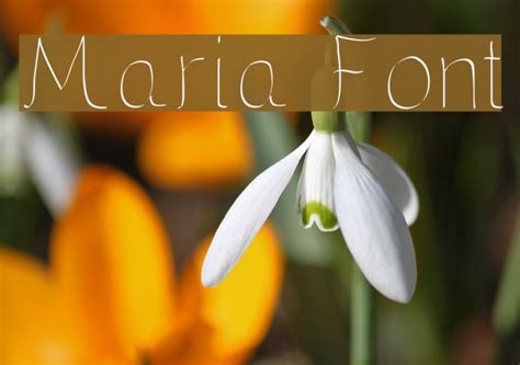 Maria Font