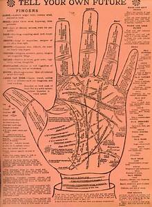 Palmistry Chart Charts Graphs Maps And Other Infographics