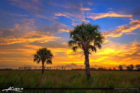 Florida Landscape Hdr Photo Pine Glades Natural Area Hdr Photography By Captain Kimo