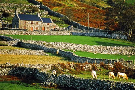 Welsh Farm Photograph By Dennis Cox Pixels