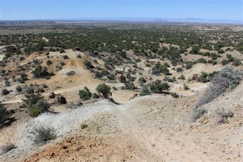 Mountain Bike Riding Pinon Mesa Nm