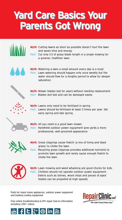 Yard Care Basics Your Parents Got Wrong Yard Care Lawn