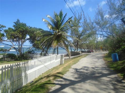 Beautiful St Philip Barbados Central America South America Little England Saint Philip Gulf