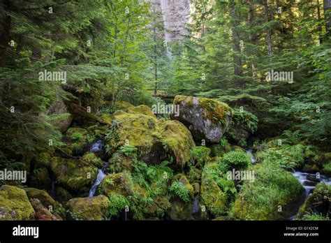Watson Falls Trail Umpqua National Forest Oregon Usa Stock Photo Alamy