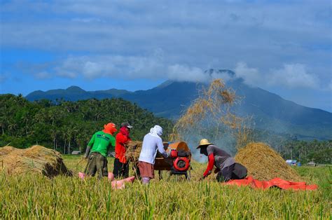 gov t provided rice farmers consumers p100b in assistance savings official portal of the