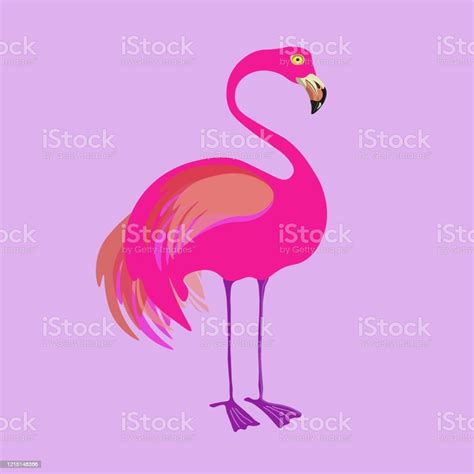 Vetores De Pássaro Flamingo Vetor Rosa Estilo Desenho Animado E Mais