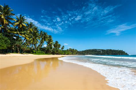 Eight Local Secrets You Must Experience In Sri Lanka International